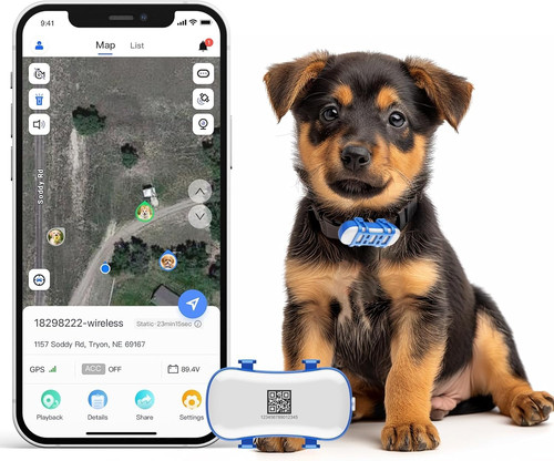 Gps pet tracker - tracker, dog