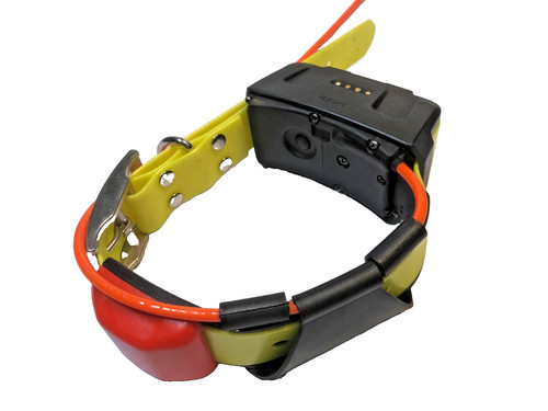 Garmin sostituisce dc50 cane - garmin,