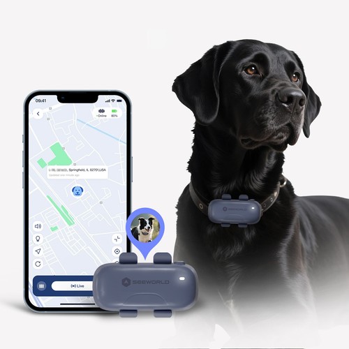 Dog tracker live - dog,